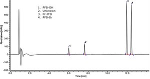 Short Chain Fatty Acid Kit 0.2&#956;M filtered
