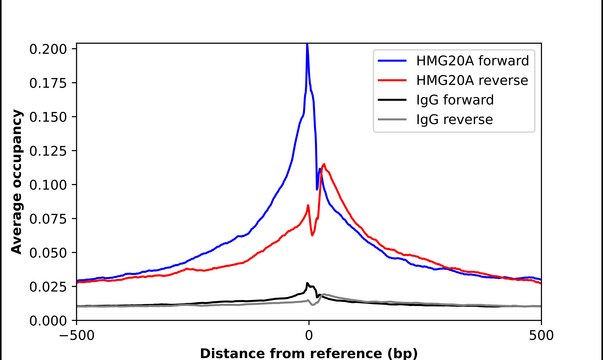 Anti-HMG20A antibody produced in rabbit Prestige Antibodies&#174; Powered by Atlas Antibodies, affinity isolated antibody, buffered aqueous glycerol solution