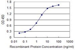 Monoclonal Anti-EPHB1 antibody produced in mouse clone 4G6, purified immunoglobulin, buffered aqueous solution