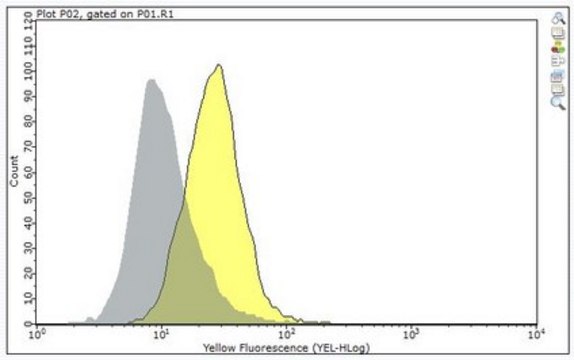 Anti-TSLP Receptor Antibody, clone 1A6 clone 1A6, from mouse