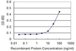 Monoclonal Anti-GLRA1 antibody produced in mouse clone 2E6, purified immunoglobulin, buffered aqueous solution