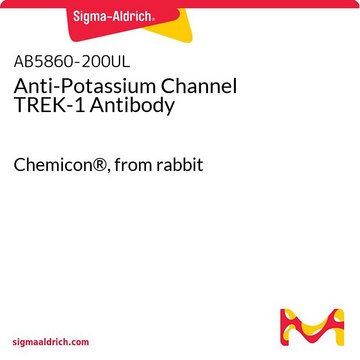 Anti-Potassium Channel TREK-1 Antibody Chemicon&#174;, from rabbit