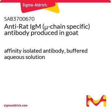 Anti-Rat IgM (&#956;-chain specific) antibody produced in goat affinity isolated antibody, buffered aqueous solution