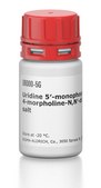 Uridine 5&#8242;-monophosphomorpholidate 4-morpholine-N,N&#8242;-dicyclohexylcarboxamidine salt