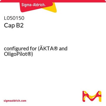 Cap B2 configured for (ÄKTA&#174; and OligoPilot&#174;)