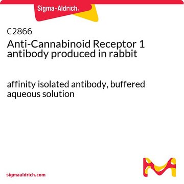 Anti-Cannabinoid Receptor 1 antibody produced in rabbit affinity isolated antibody, buffered aqueous solution