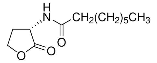 N-Octanoyl-L-homoserine lactone &#8805;96% (HPLC)