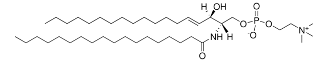 18:0 SM (d18:1/18:0) Avanti Research&#8482; - A Croda Brand