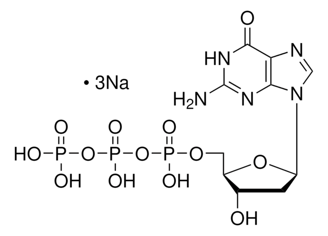 2&#8242;-Deoxyguanosine 5&#8242;-triphosphate trisodium salt solution 10&#160;mM in H2O