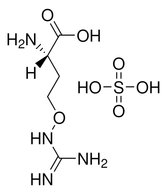 L-Canavanine sulfate salt &#8805;99% (TLC), powder