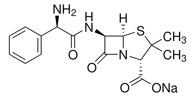 Ampicillin sodium salt