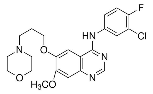 Gefitinib for system suitability European Pharmacopoeia (EP) Reference Standard