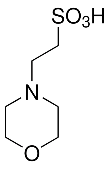 MES solution BioUltra, for molecular biology, 0.5&#160;M in H2O