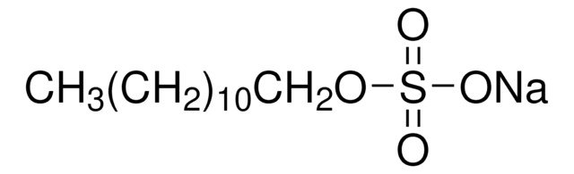 Sodium Dodecyl Sulfate (SDS) anionic, electrophoresis grade