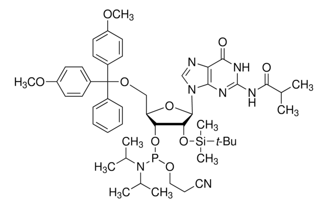 DMT-2&#8242;O-TBDMS-rG(ib) Phosphoramidite configured for (ÄKTA&#174; and OligoPilot&#174;)