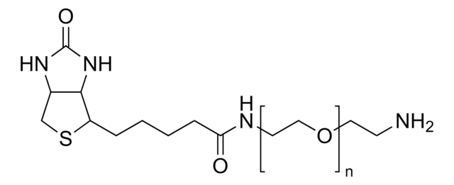 Poly(ethylene glycol) 2-aminoethyl ether biotin