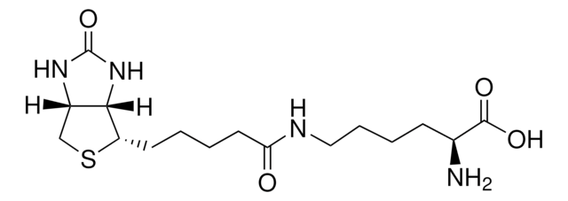 Biocytin &#8805;98% (TLC)