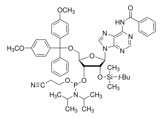 DMT-2&#8242;O-TBDMS-rA(bz) Phosphoramidite configured for MerMade