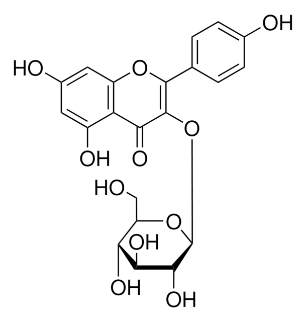 Kaempferol 3-glucoside primary reference standard