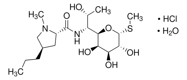 Lincomycin hydrochloride European Pharmacopoeia (EP) Reference Standard