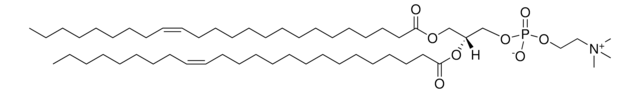 24:1 (Cis) PC Avanti Research&#8482; - A Croda Brand