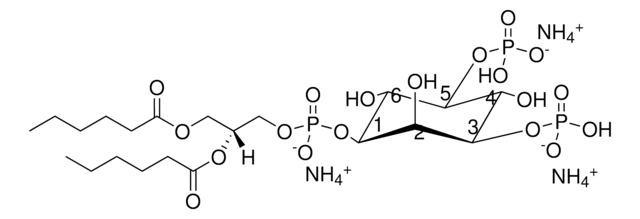06:0 PI(3,5)P2 Avanti Research&#8482; - A Croda Brand
