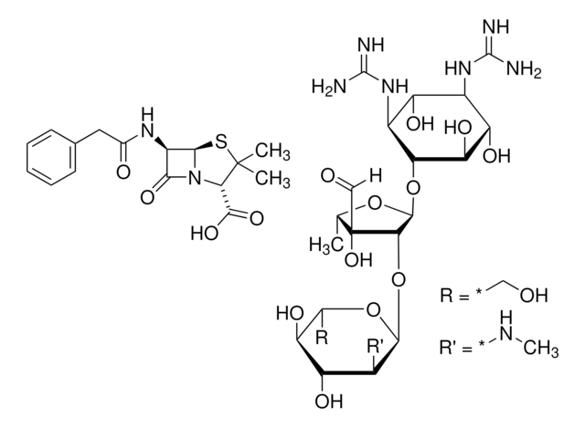 Penicillin-Streptomycin Solution Stabilized, with 5,000 units penicillin and 5mg streptomycin/mL, 0.1 &#956;m filtered, BioReagent, suitable for cell culture