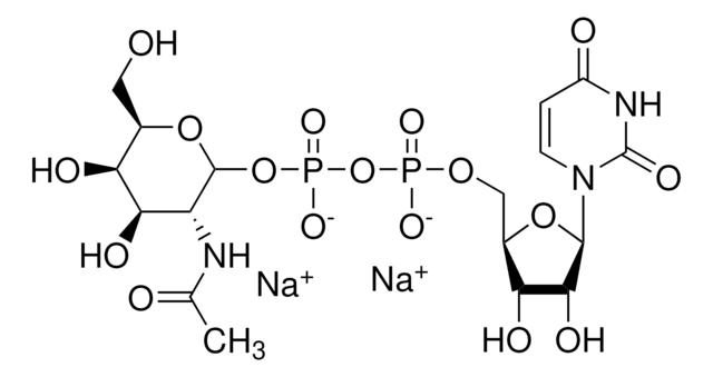 Uridine 5&#8242;-diphospho-N-acetylgalactosamine disodium salt &#8805;97%