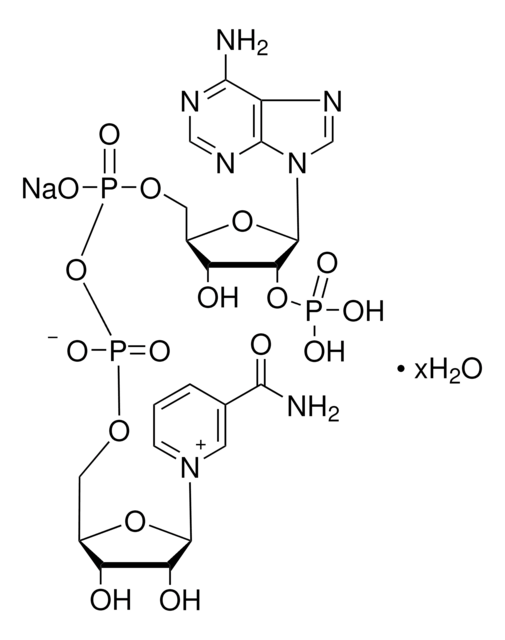 &#946;-Nicotinamide adenine dinucleotide phosphate sodium salt pkg of 5&#160;mg (per vial)