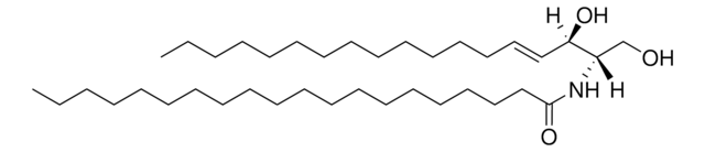 C20 Ceramide (d18:1/20:0) Avanti Research&#8482; - A Croda Brand