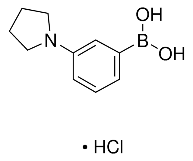 3-(1-Pyrrolidinyl)phenyl boronic acid hydrochloride