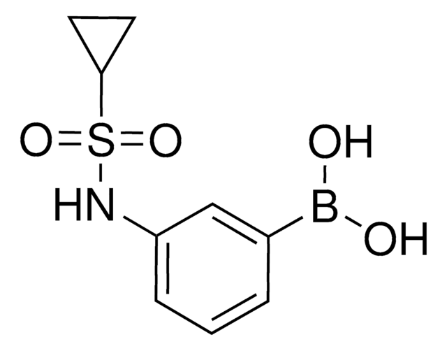 3-[(Cyclopropylsulfonyl)amino]phenylboronic acid