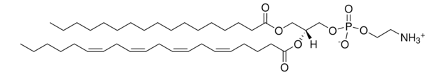 17:0-20:4 PE Avanti Research&#8482; - A Croda Brand LM1102, methanol solution