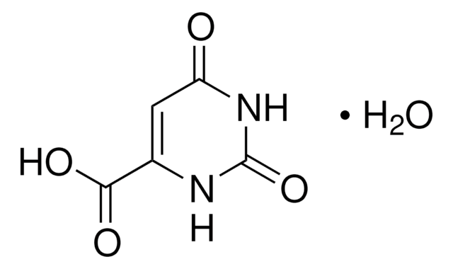 Orotic acid monohydrate 97%