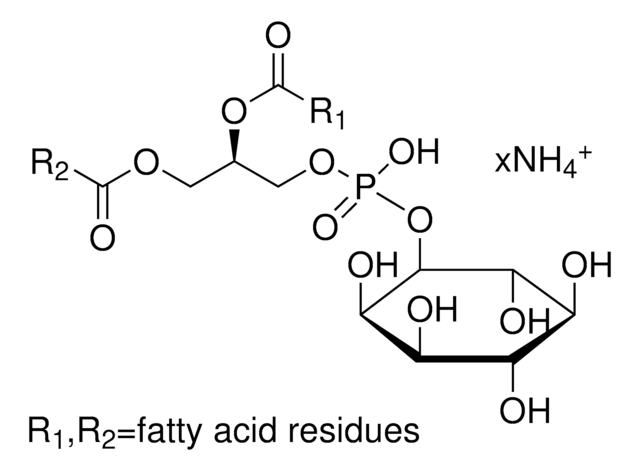 L-&#945;-Phosphatidylinositol ammonium salt solution from bovine liver 10&#160;mg/mL in chloroform, &#8805;98% (TLC)