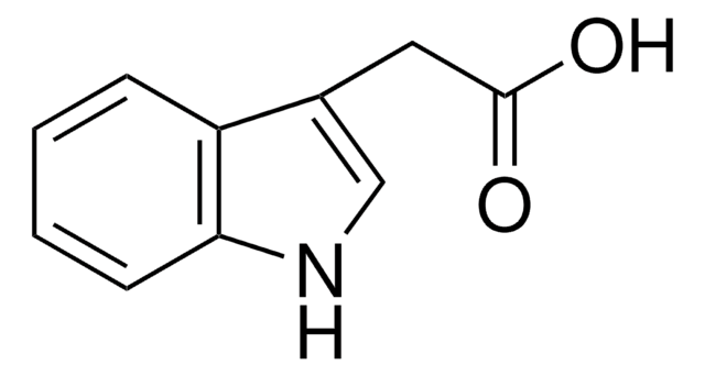 Indole-3-acetic acid LAB