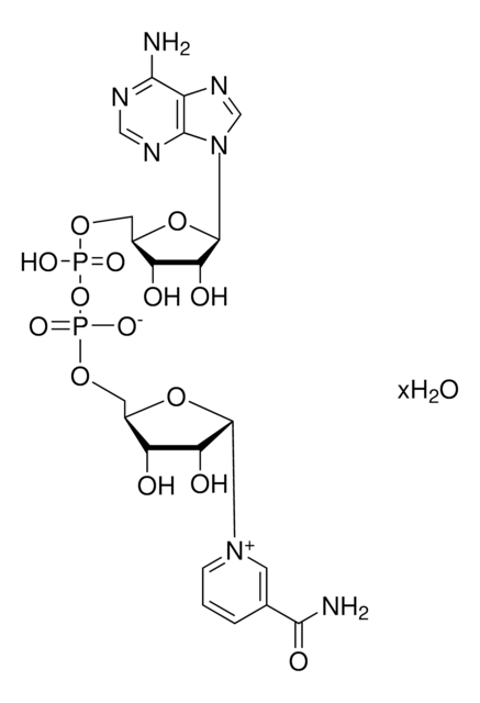 &#946;-Nicotinamide adenine dinucleotide hydrate suitable for cell culture, &#8805;96.5% (HPLC), &#8805;96.5% (spectrophotometric assay), from yeast