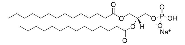 14:0 PA Avanti Research&#8482; - A Croda Brand