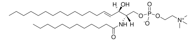 Sphingomyelin (d18:1/12:0) Avanti Research&#8482; - A Croda Brand