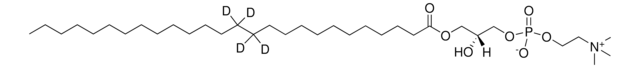 26:0-d4 Lyso PC Avanti Research&#8482; - A Croda Brand