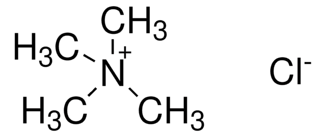 Tetramethylammonium chloride solution for molecular biology