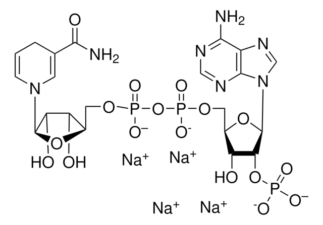 &#946;-Nicotinamide adenine dinucleotide 2&#8242;-phosphate reduced tetrasodium salt hydrate ampule, &#8805;90% (HPLC)