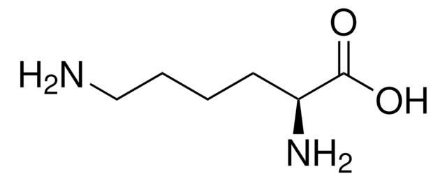 L-Lysine &#8805;98% (TLC)