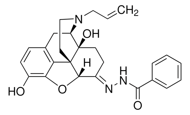 Naloxone benzoylhydrazone solid