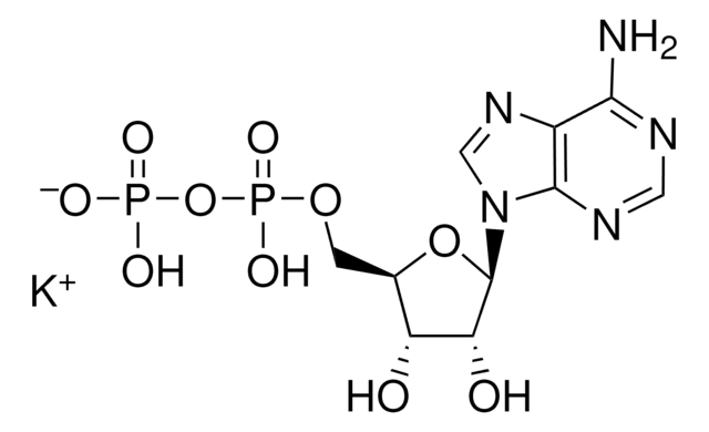 Adenosine 5&#8242;-diphosphate monopotassium salt dihydrate M.W. 501.3 (dihydrate).