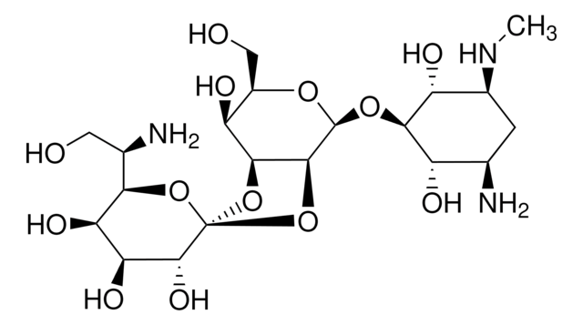 Hygromycin B solution from Streptomyces hygroscopicus &#8805;60% (HPLC), 45-60&#160;mg/mL in H2O