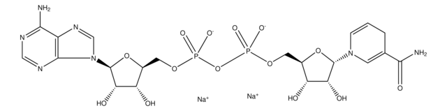 &#945;-Nicotinamide adenine dinucleotide, reduced disodium salt &#8805;90%