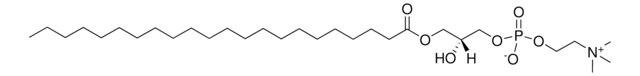 22:0 Lyso PC Avanti Research&#8482; - A Croda Brand