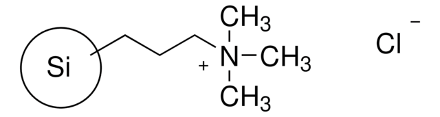 3-(Trimethylammonium)propyl-functionalized silica gel, chloride 200-400&#160;mesh, extent of labeling: 1.2&#160;mmol/g loading