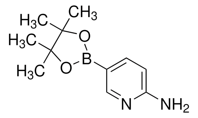 2-Aminopyridine-5-boronic acid pinacol ester 97%